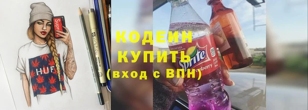 крисы Лабытнанги