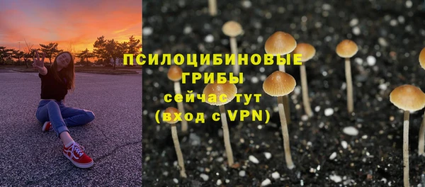 PSILOCYBIN Белокуриха