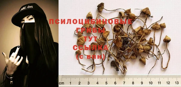 хмурый Лихославль