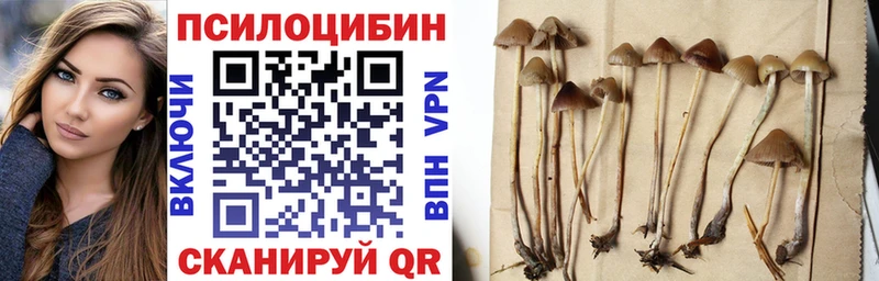 сайты даркнета Telegram  Воткинск  Галлюциногенные грибы MAGIC MUSHROOMS 
