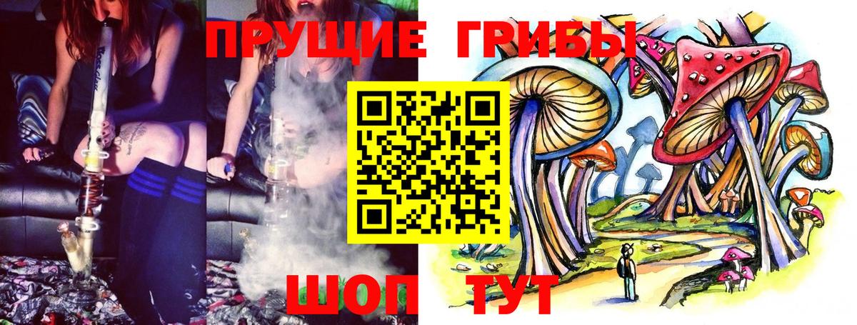 Псилоцибиновые грибы прущие грибы  Воткинск  как найти закладки  Псилоцибиновые грибы GOLDEN TEACHER 